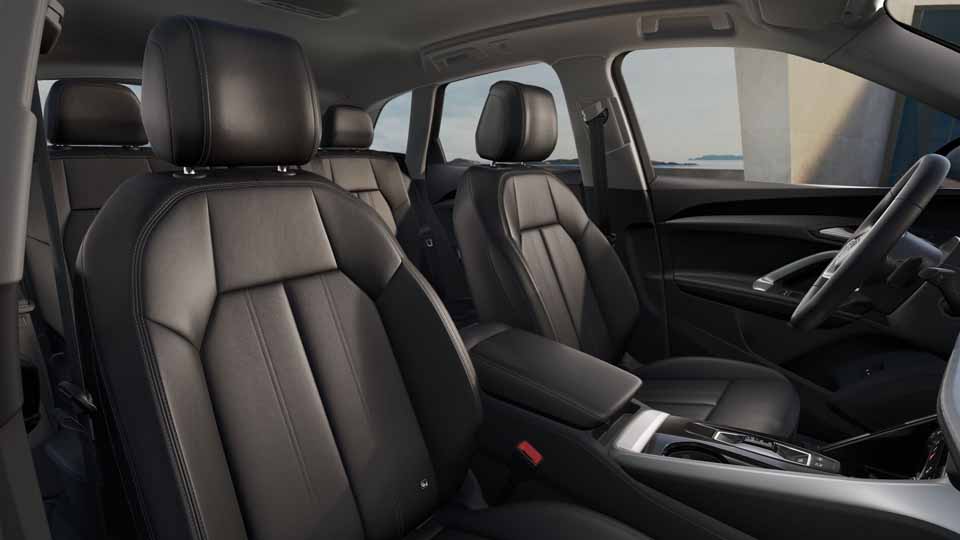 Audi Q5 SUV e-hybrid quattro