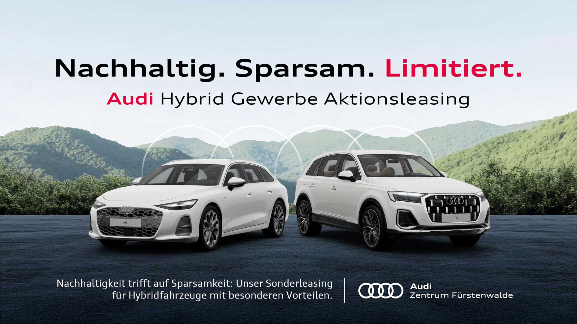 Hybrid Business Aktionsleasing