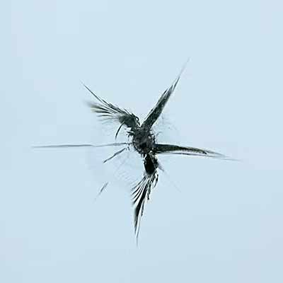 Audi Glasservice, Darstellung Steinschlag "Sternbruch"